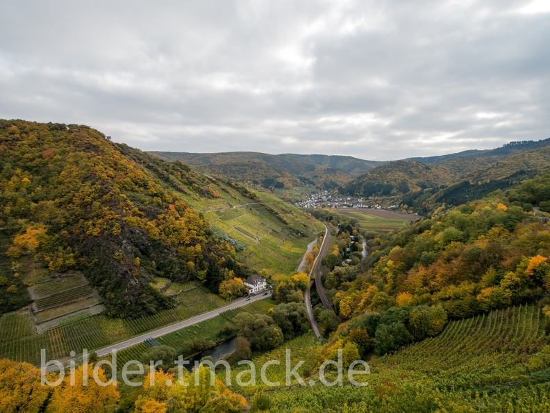 Weinbaugebiet in Rheinlanz-Pfalz